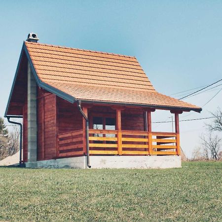 Brvnara Zecevic Villa Zlatibor Esterno foto