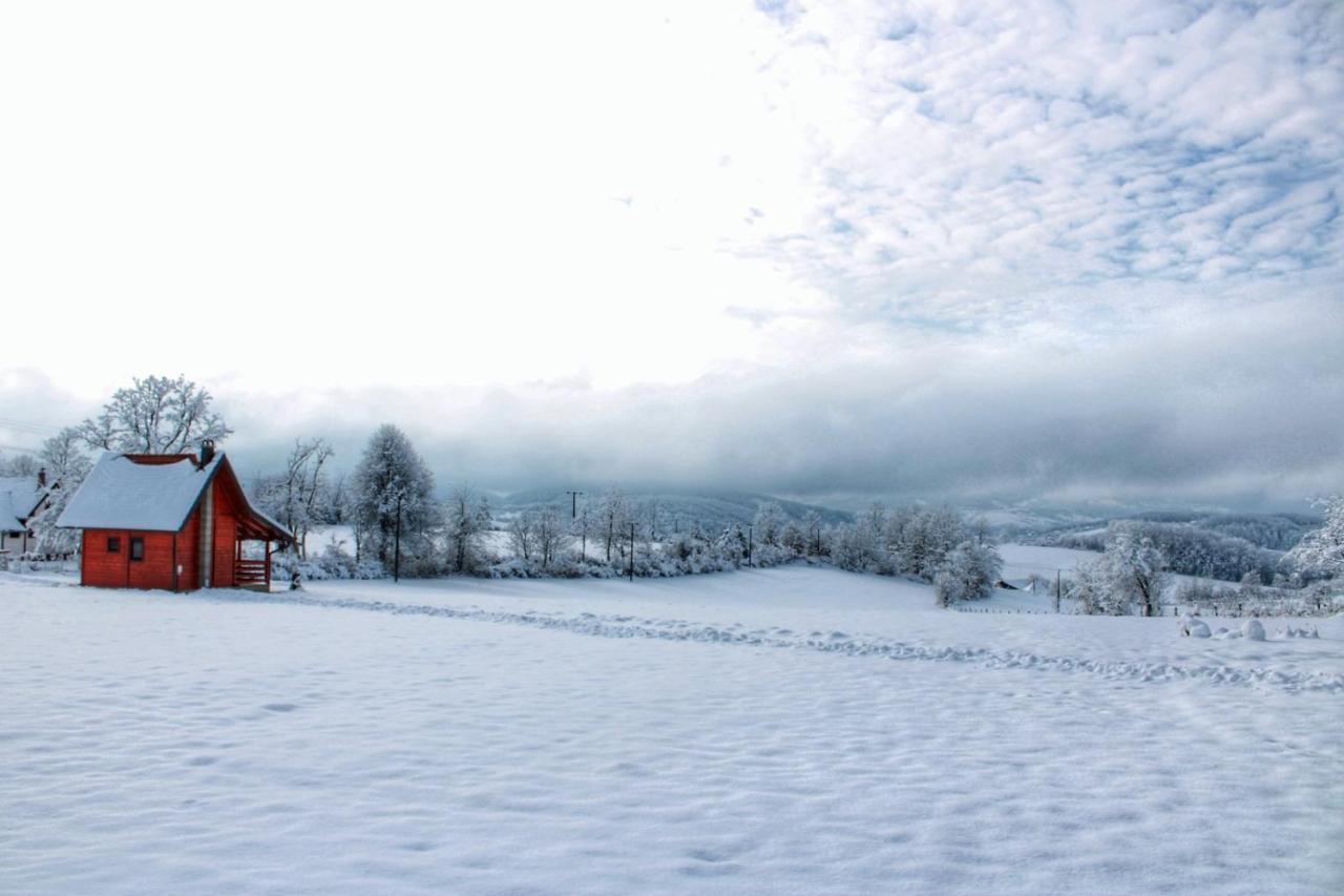 Brvnara Zecevic Villa Zlatibor Esterno foto