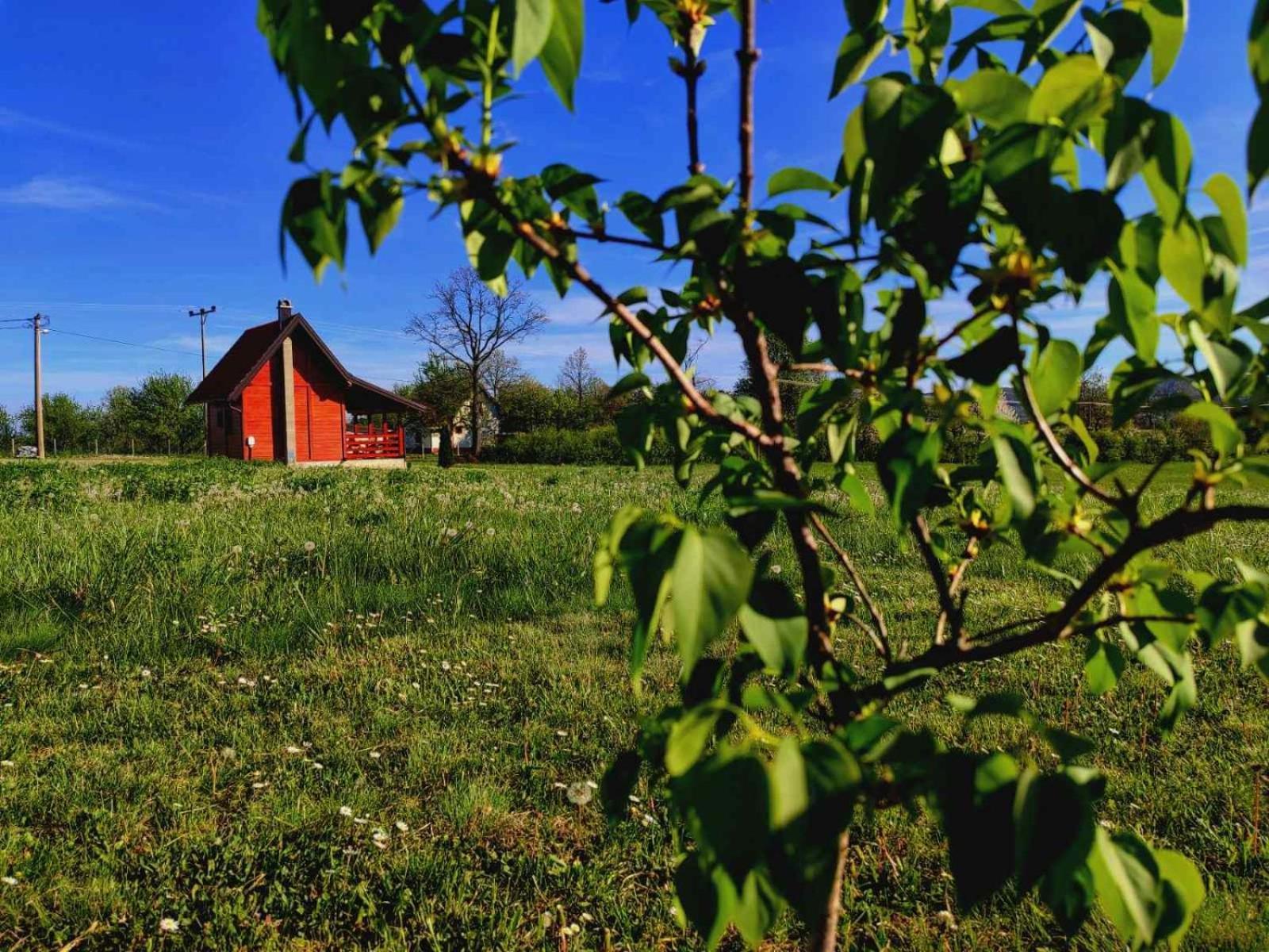 Brvnara Zecevic Villa Zlatibor Esterno foto